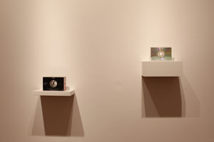 view of the show1